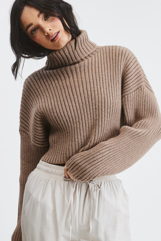 About That Cozy Life Cropped Turtleneck Knit Sweater