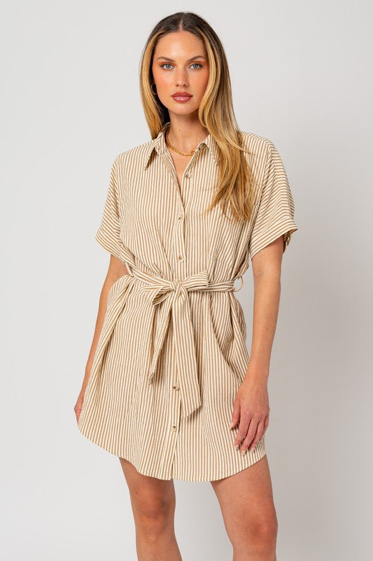 Island Cove Half Sleeve Button Down Mini Dress