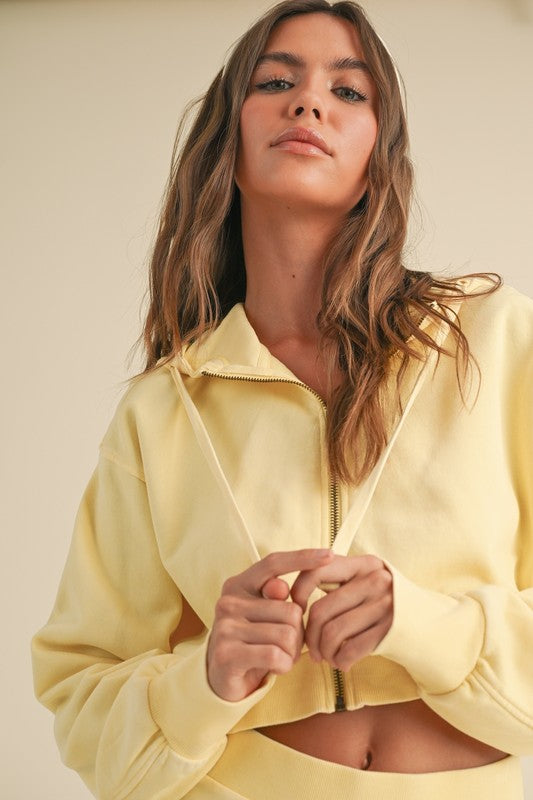 Mineral Wash Crop Hoodie