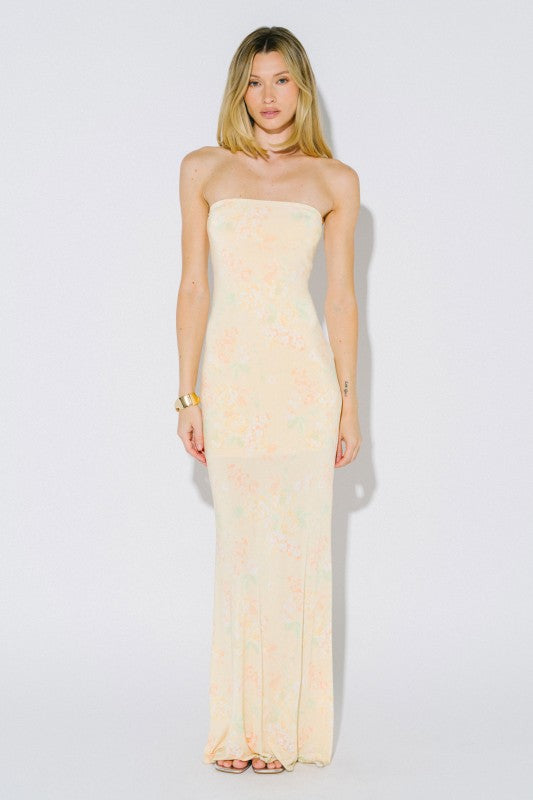 Sunlit Parlor Tube Maxi Dress