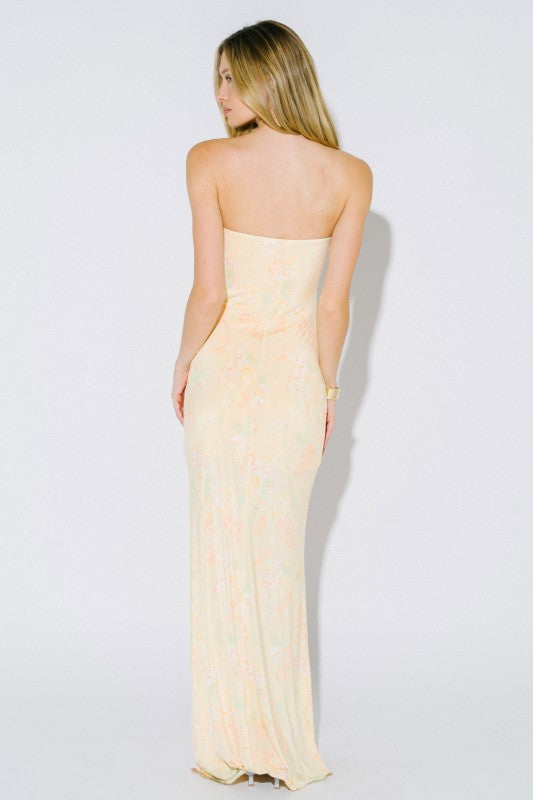 Sunlit Parlor Tube Maxi Dress