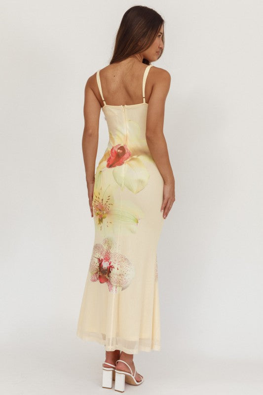 Petal Night Mesh Maxi Dress