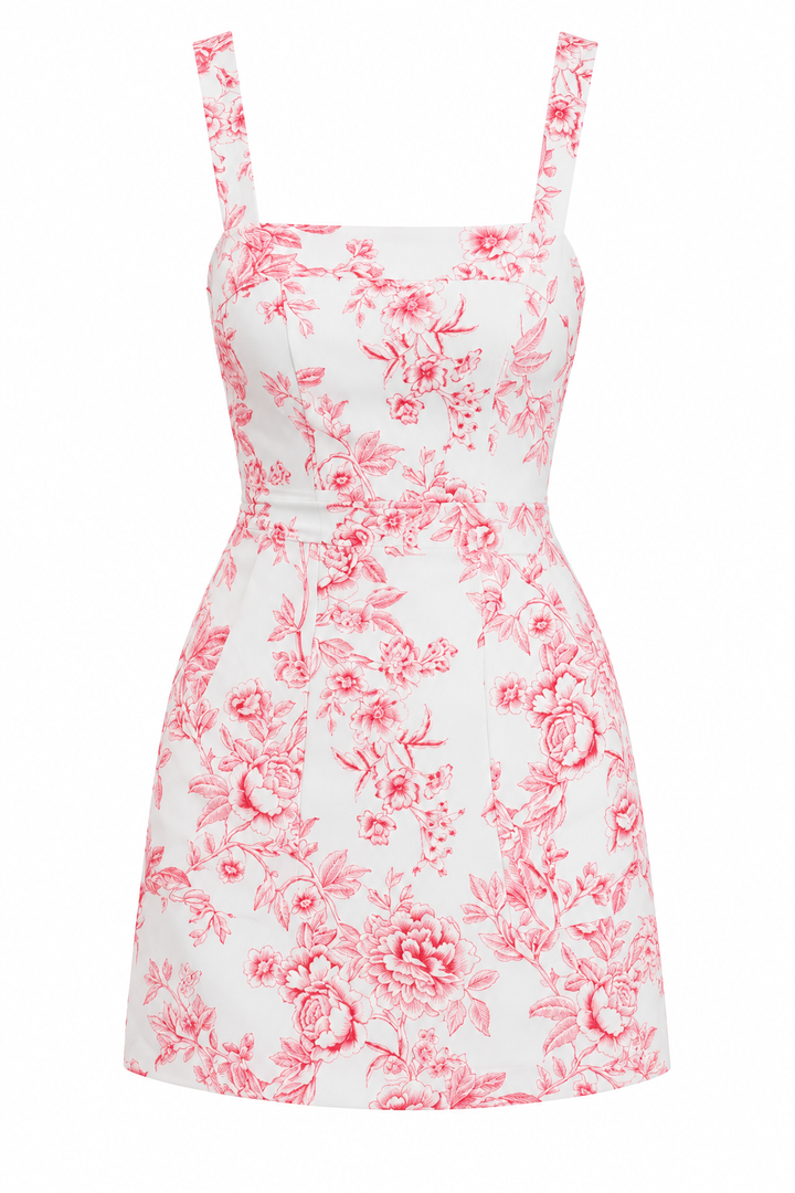 Toile Pocket Mini Dress