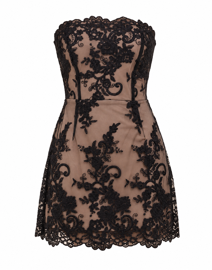 Dressed for Rumors Lace Mini Dress