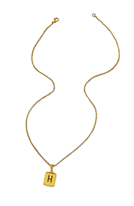 Gold Initial Diamond Dust Necklace