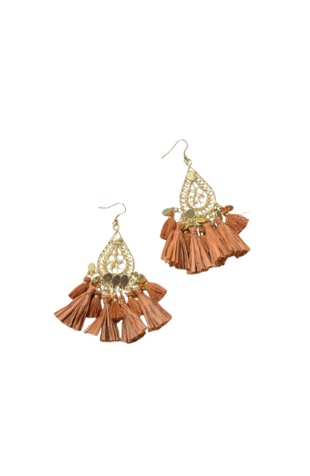 Teardrop Tassel Earrings