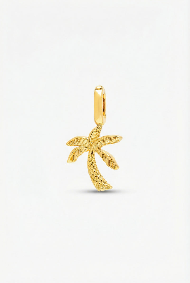 Palm State Charm